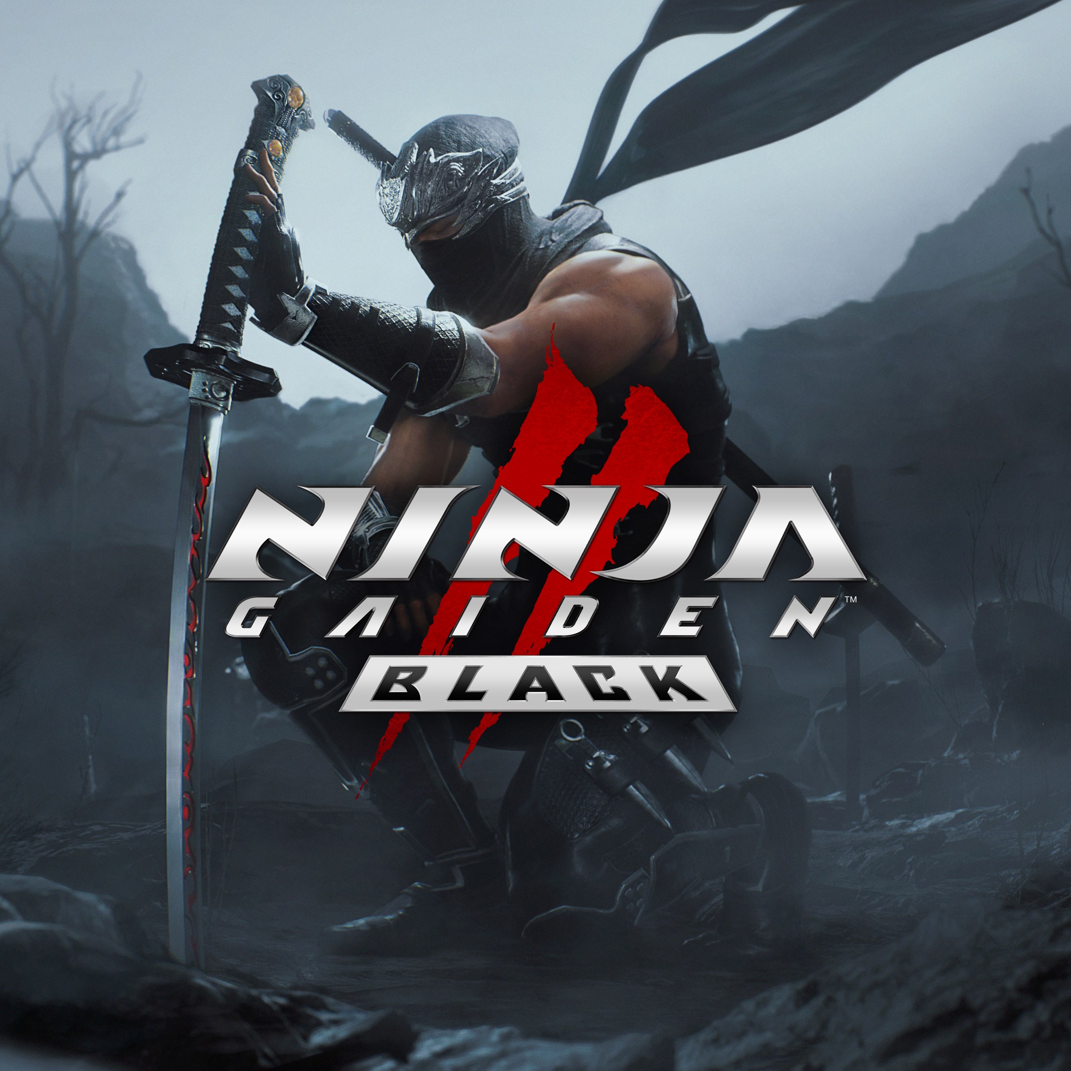 NINJA GAIDEN 2 Black box art